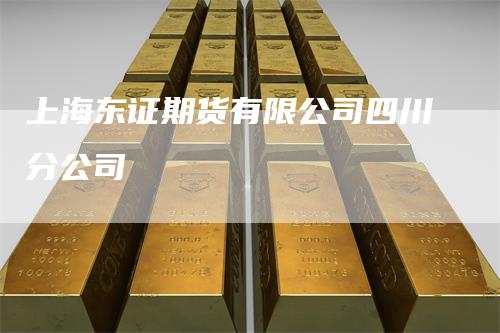 上海东证期货有限公司四川分公司