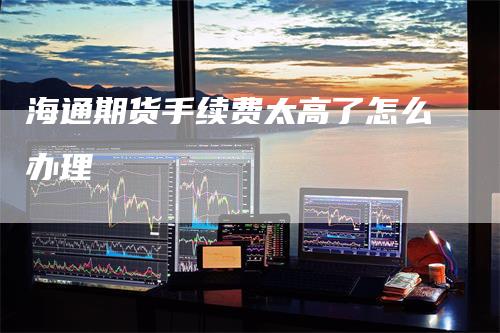 海通期货手续费太高了怎么办理
