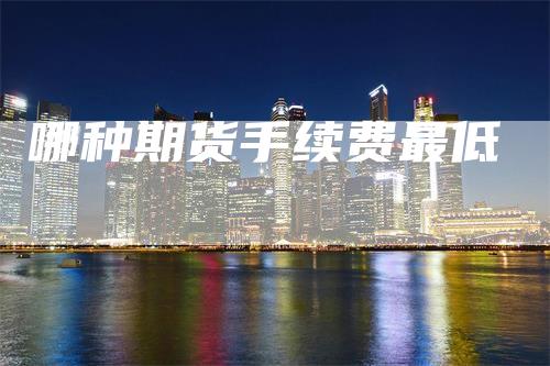 哪种期货手续费最低