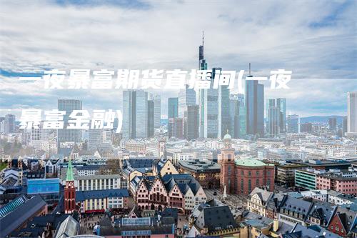 一夜暴富期货直播间(一夜暴富金融)