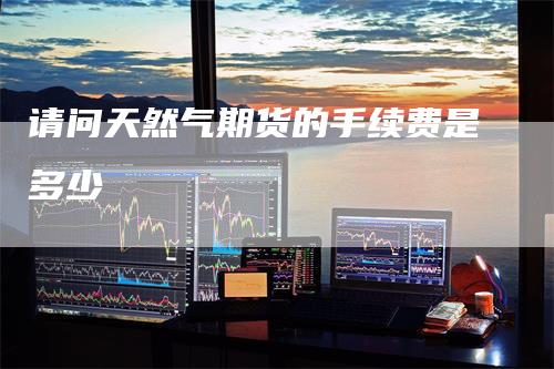 请问天然气期货的手续费是多少