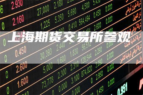 上海期货交易所参观