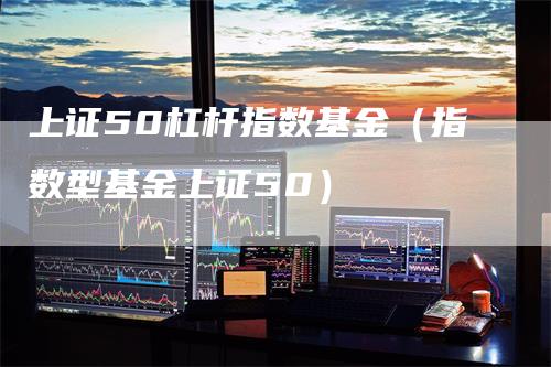 上证50杠杆指数基金（指数型基金上证50）