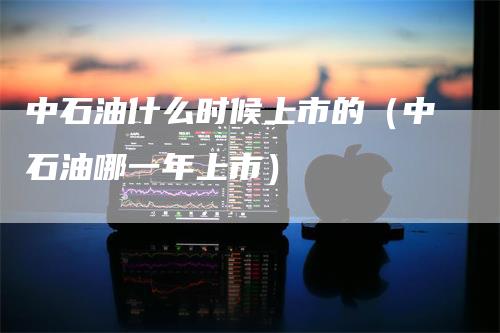 中石油什么时候上市的（中石油哪一年上市）