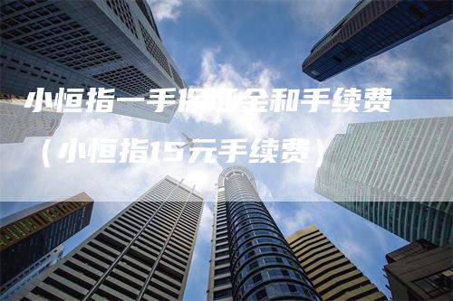 小恒指一手保证金和手续费（小恒指15元手续费）