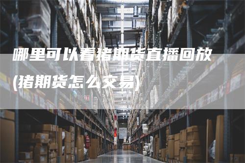 哪里可以看猪期货直播回放(猪期货怎么交易)