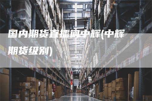 国内期货直播间中辉(中辉期货级别)