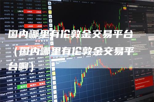 国内哪里有伦敦金交易平台（国内哪里有伦敦金交易平台啊）