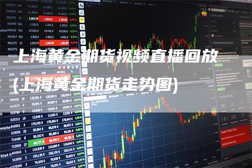 上海黄金期货视频直播回放(上海黄金期货走势图)
