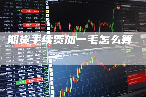 期货手续费加一毛怎么算