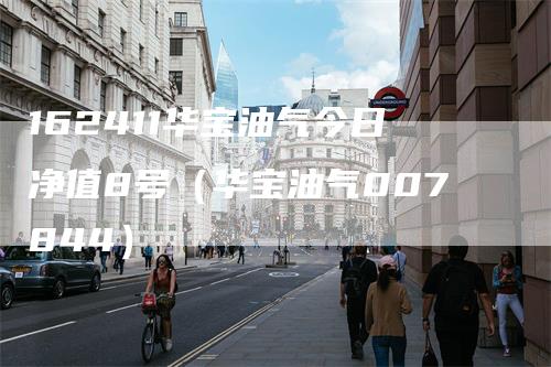 162411华宝油气今日净值8号（华宝油气007844）