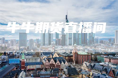 牛牛期货直播间