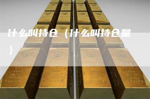 什么叫持仓（什么叫持仓量）