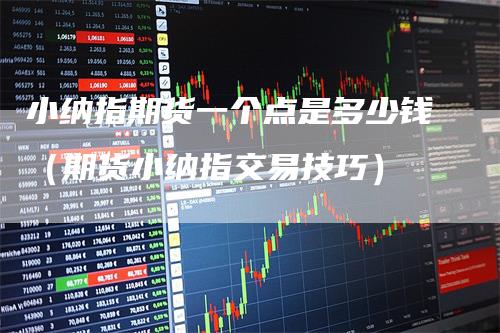 小纳指期货一个点是多少钱（期货小纳指交易技巧）