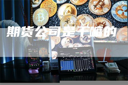 期货公司是干嘛的