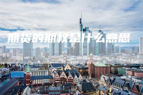 期货的期权是什么意思