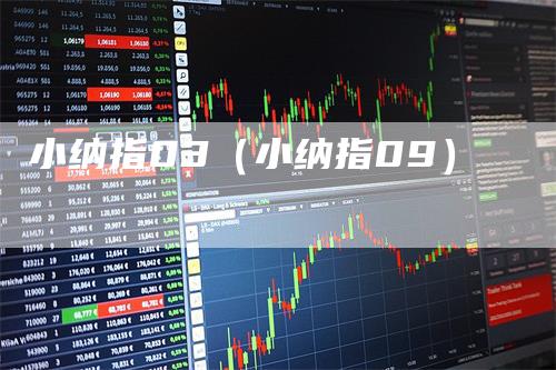 小纳指03（小纳指09）