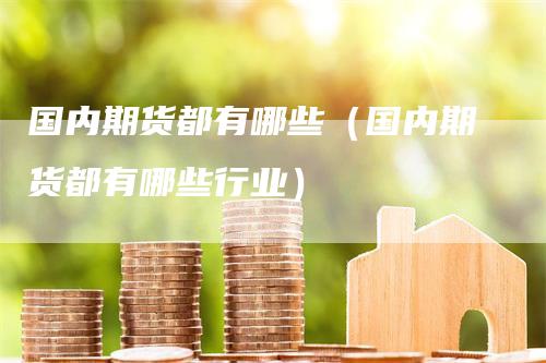 国内期货都有哪些（国内期货都有哪些行业）