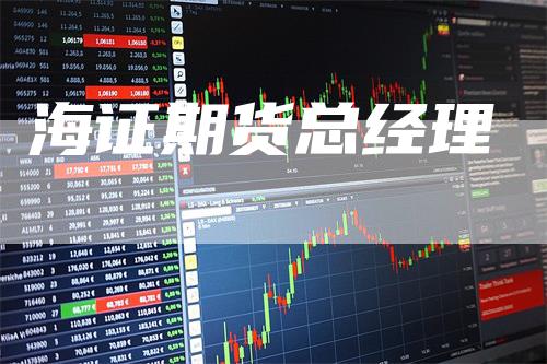 海证期货总经理