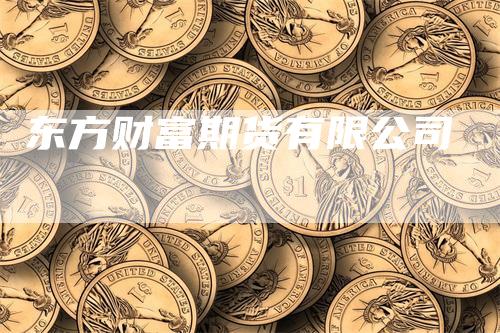 东方财富期货有限公司
