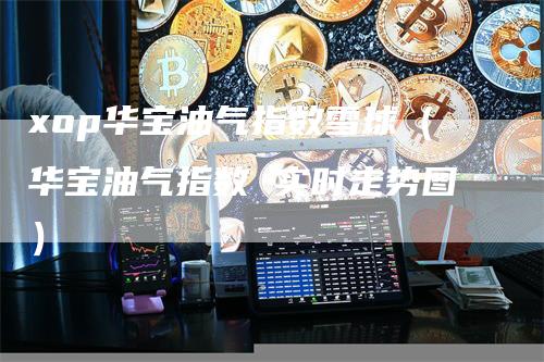 xop华宝油气指数雪球（华宝油气指数 实时走势图）