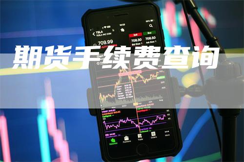 期货手续费查询