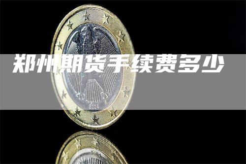 郑州期货手续费多少
