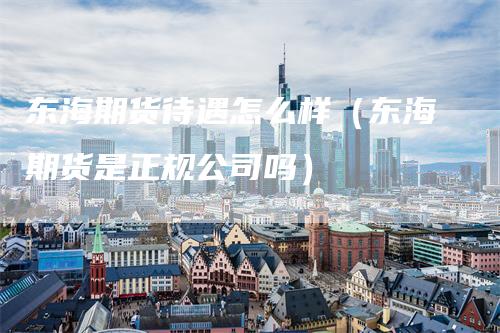 东海期货待遇怎么样（东海期货是正规公司吗）