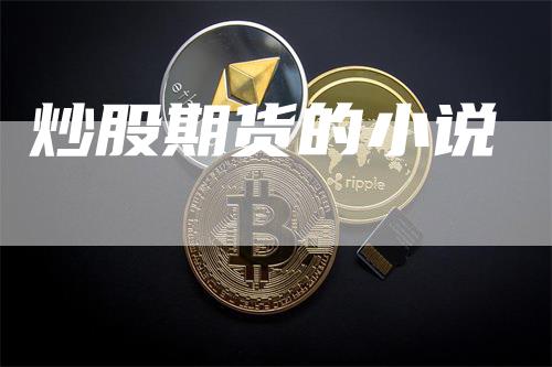 炒股期货的小说