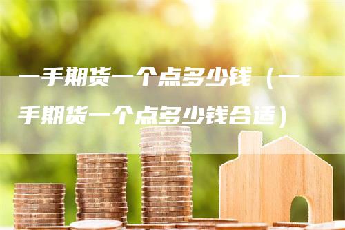 一手期货一个点多少钱（一手期货一个点多少钱合适）