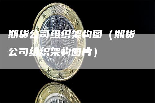 期货公司组织架构图（期货公司组织架构图片）