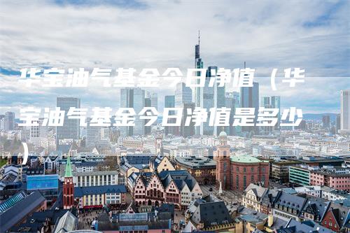 华宝油气基金今日净值（华宝油气基金今日净值是多少）