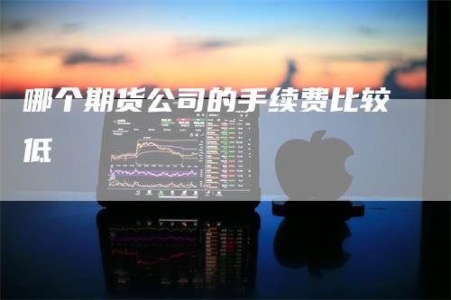 哪个期货公司的手续费比较低