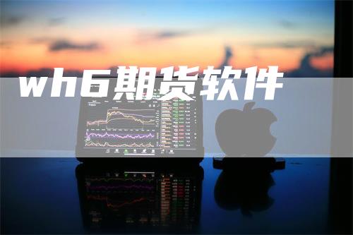 wh6期货软件
