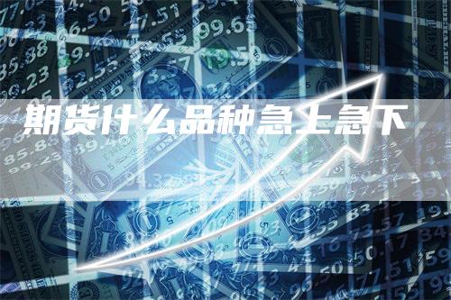 期货什么品种急上急下