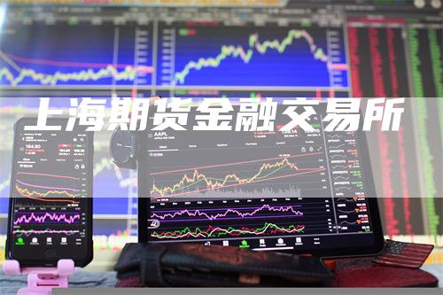 上海期货金融交易所