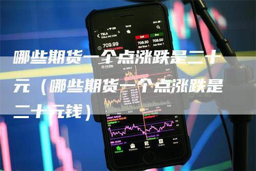 哪些期货一个点涨跌是二十元（哪些期货一个点涨跌是二十元钱）