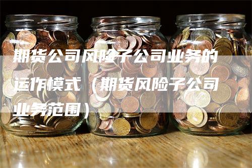 期货公司风险子公司业务的运作模式（期货风险子公司业务范围）