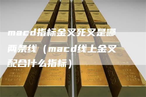 macd指标金叉死叉是哪两条线（macd线上金叉配合什么指标）