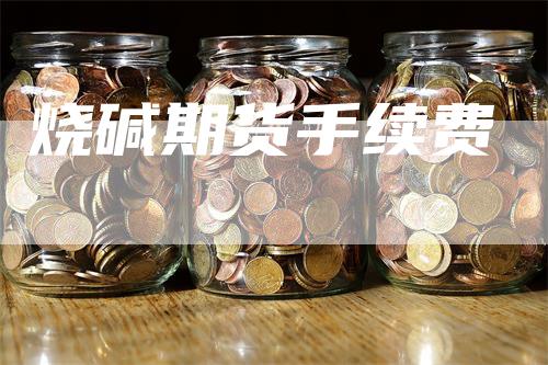 烧碱期货手续费