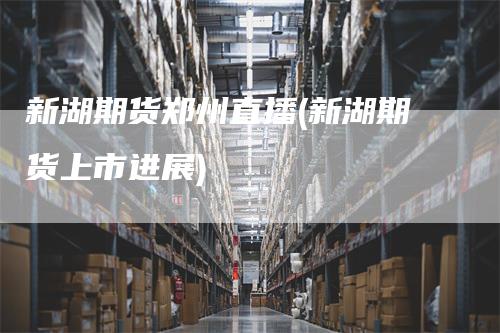 新湖期货郑州直播(新湖期货上市进展)