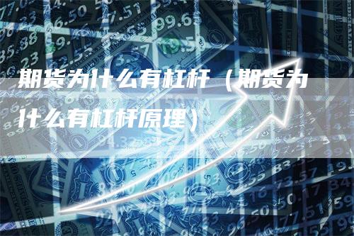 期货为什么有杠杆（期货为什么有杠杆原理）