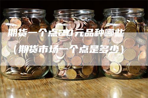 期货一个点20元品种哪些（期货市场一个点是多少）