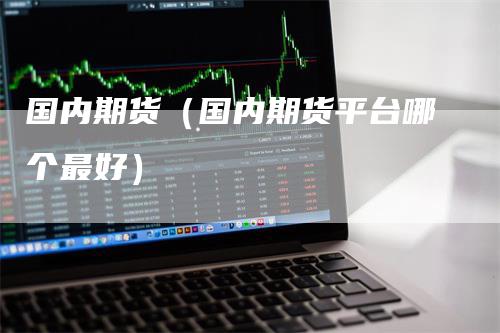 国内期货（国内期货平台哪个最好）