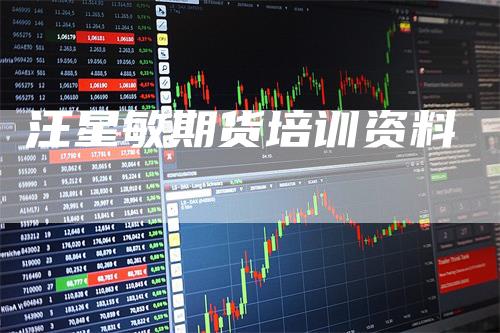 汪星敏期货培训资料