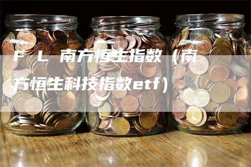 F L 南方恒生指数（南方恒生科技指数etf）