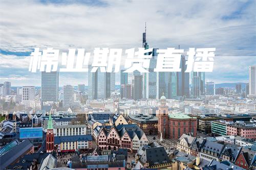 棉业期货直播