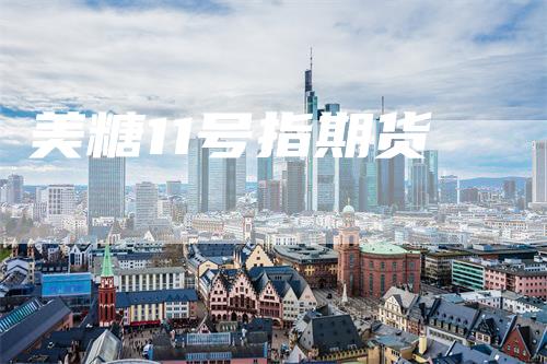 美糖11号指期货