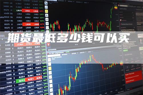 期货最低多少钱可以买