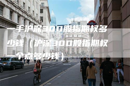 一手沪深300股指期权多少钱（沪深300股指期权一个点多少钱）